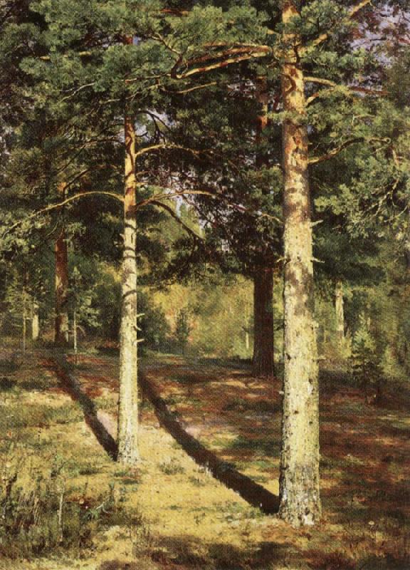 Ivan Shishkin Pine Wood Illuminated by the Sun France oil painting art